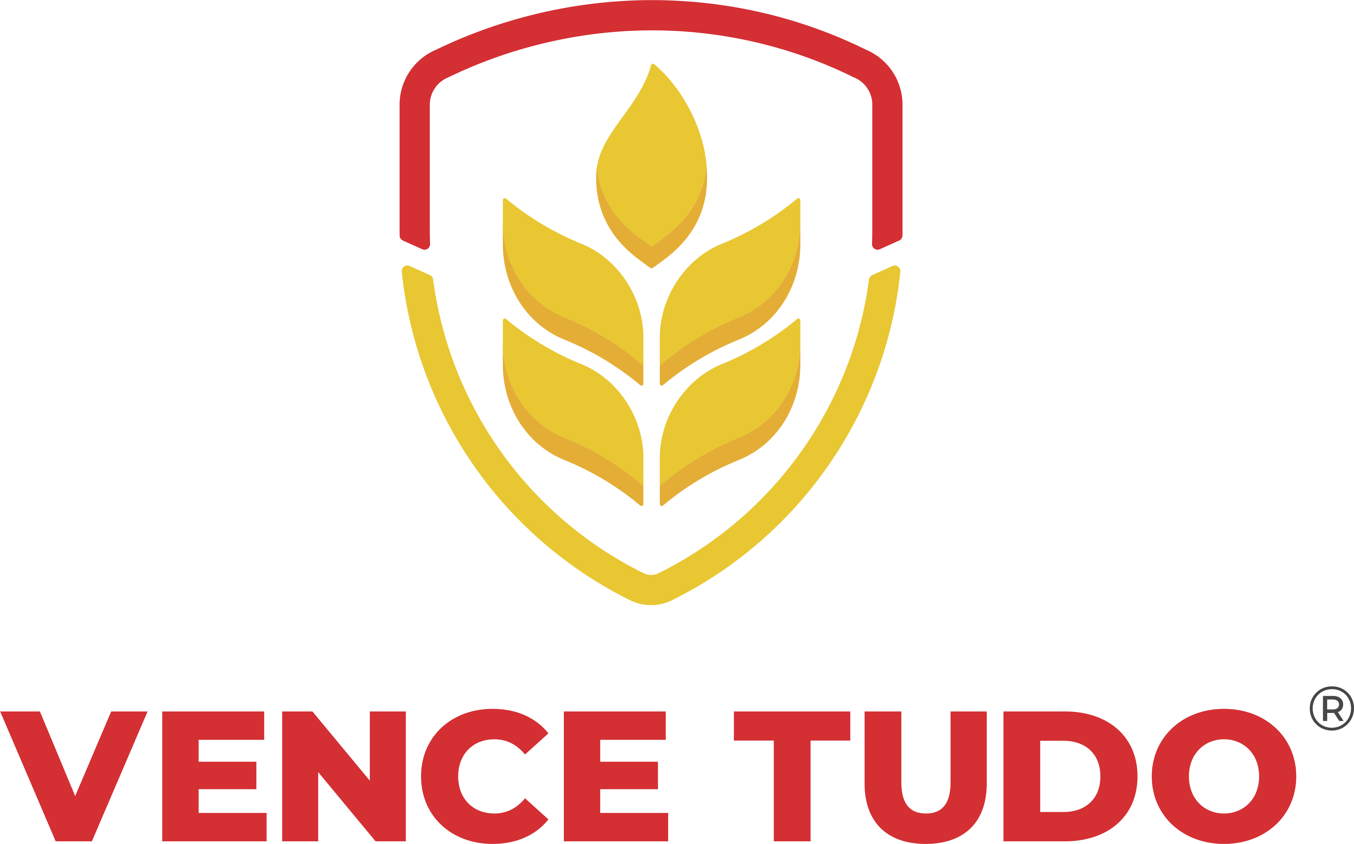 VENCE TUDO